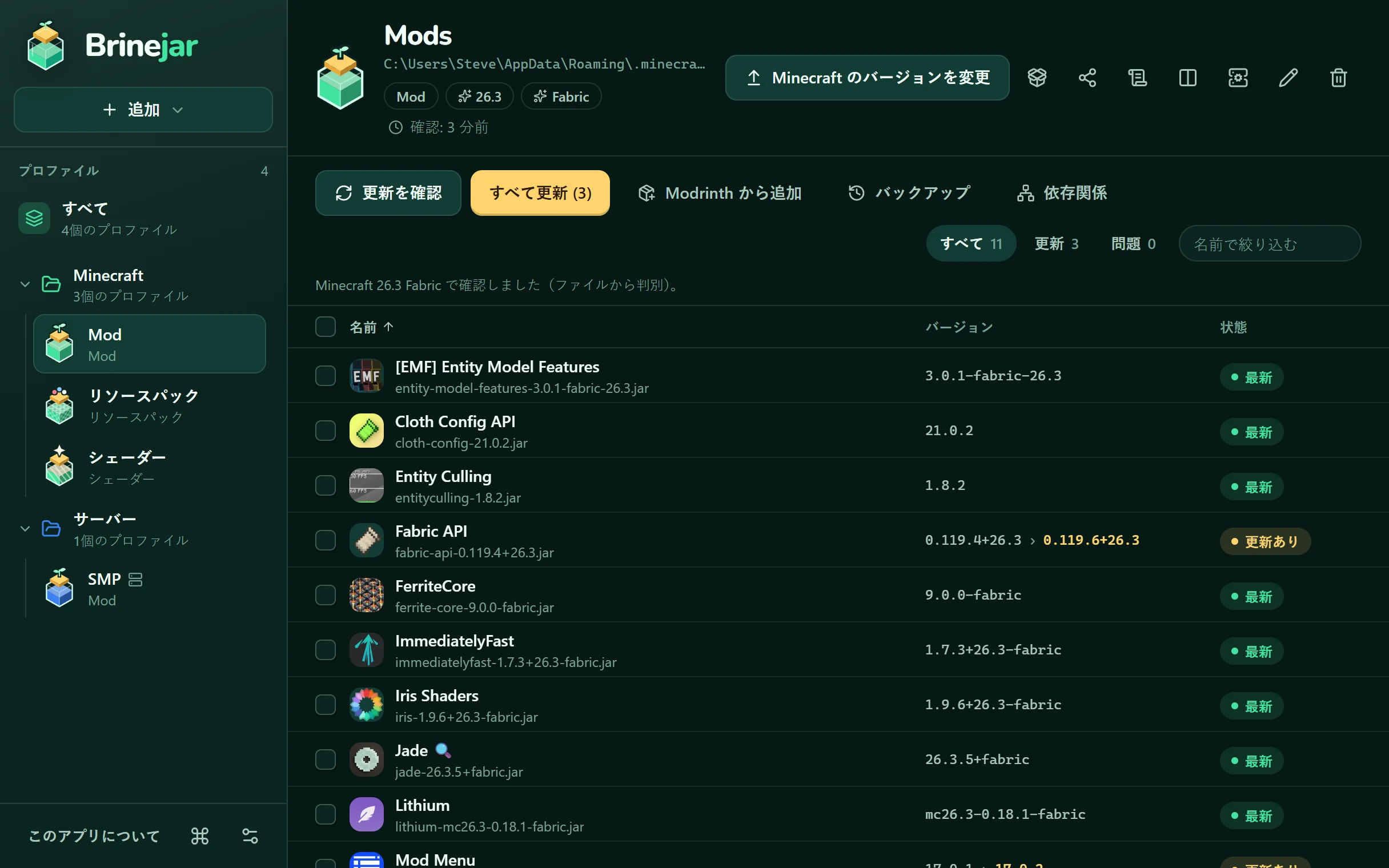 Brinejar がプロファイルの Mod をバージョンと状態つきで一覧表示している画面