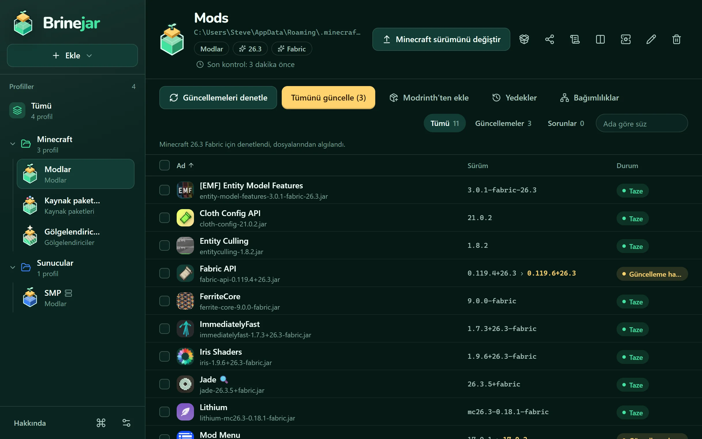 Brinejar bir profilin modlarını sürümleri ve durumlarıyla listeliyor